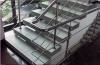 CRAIOVA BALUSTRADE INOX,   SCARI INOX,   FIER FORJAT,   GARDURI,   PORTI